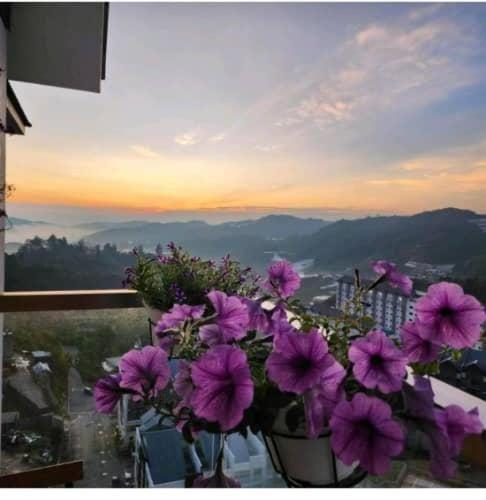 Kensington Sunrise Sg, Palas Horizon,Kea Farm Brinchang Zewnętrze zdjęcie